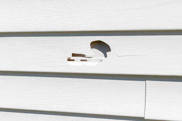 Best Vinyl Siding Installation  in San Marino, CA